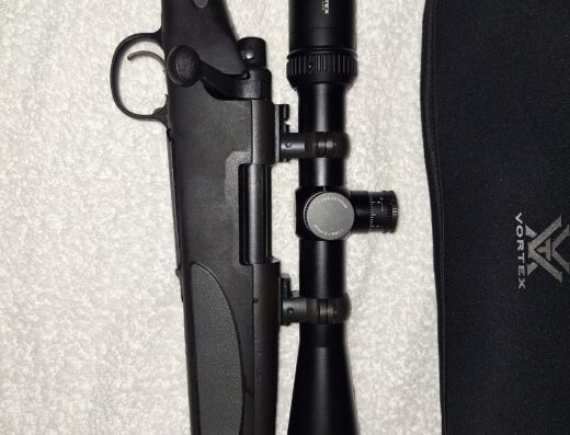 Remington 700 Bull barrel