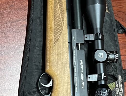 Artemis M22 PCP