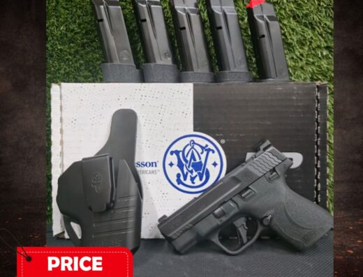 Smith & Wesson Shield Plus 3.1 9mmP Combo