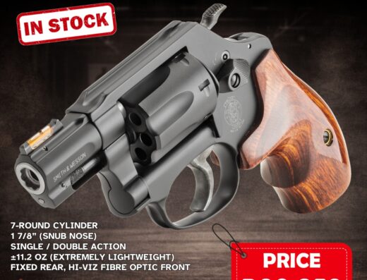 Smith & Wesson 22 Mag M351 PD