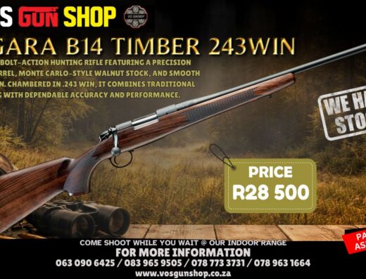 Bergara B14 Timber 243 WIn